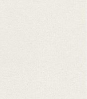 Обои A.S.Creation 79042-2 Flowers Symphony