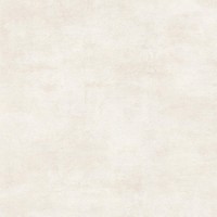 Обои A.S.Creation 79139-1 Sylvana