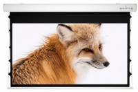 Экран для проектора Sopar Taurus 390x244cm (5405ZT)