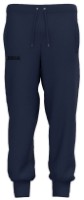 Pantaloni spotivi pentru bărbați Joma 103765.345 Navy, s.M