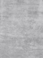 Covor Ecofloor Carpet Decor Dywan Canyon Silver 1.60x2.30m