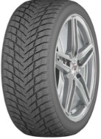 Шина Arivo Ice Claw ARW7 315/30 R22 107T XL