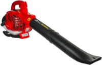 Aspirator-suflător de frunze Raider RD-GBV06