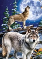 Пазл Три Совы Вой на луну 1000шт