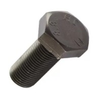 Болт Reyher 006A10060