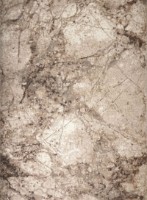 Covor CarpetLux Cappuccino 16139/11 3.00x8.00m