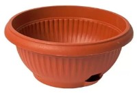 Ghiveci Profmet 950061