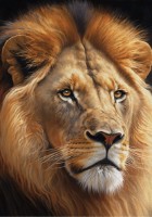 Puzzle Три Совы Leu 260buc