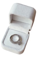 Кольцо Iris Wish s.16 Silver (AV-762)