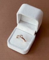 Кольцо Iris Wish s.18 Gold (328)