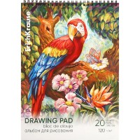 Альбом для рисования Erich Krause Parrot А4 (56312)