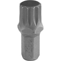 Bita King Tony 163614M