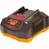 Зарядное устройство Ingco FCLI42021