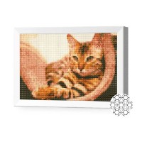 Алмазная картина по номерам Art Gallery Premium Полосатый кот 20x30cm (JS25465)