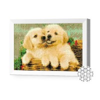 Алмазная картина по номерам Art Gallery Premium Щенки лабрадора 20x30cm (JS26269)