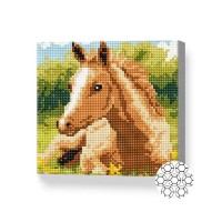 Pictura cu diamante după numere Art Gallery Premium A foal in a clearing 20x20cm (BJ629)