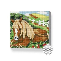 Pictura cu diamante după numere Art Gallery Premium A horse is resting in a meadow 20x20cm (BJ662)
