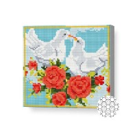 Pictura cu diamante după numere Art Gallery Premium A pair of lovebirds 20x20cm (BJ778)