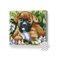 Pictura cu diamante după numere Art Gallery Premium A puppy among flowers 20x20cm (BJ655)