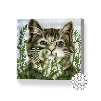 Pictura cu diamante după numere Art Gallery Premium Cat among the grass 20x20cm (BJ1152)