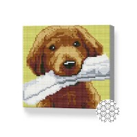 Pictura cu diamante după numere Art Gallery Premium Good dog 20x20cm (BJ736)