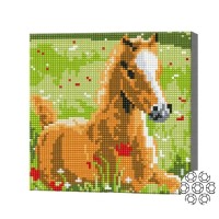 Pictura cu diamante după numere Art Gallery Premium Horse in poppies 20x20cm (BJ1043)