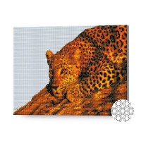Алмазная картина по номерам Art Gallery Premium Leopard 40x50cm (GA79017)