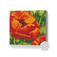 Алмазная картина по номерам Art Gallery Premium Poppy 20x20cm (BJ1024)