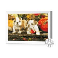 Алмазная картина по номерам Art Gallery Premium Puppies And Pumpkins 20x30cm (JS20289)