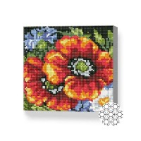 Pictura cu diamante după numere Art Gallery Premium Red Poppies 20x20cm (BJ1017)