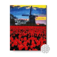 Pictura cu diamante după numere Art Gallery Premium Tulip field near the mill 40x50cm (GA87317)