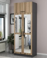Dulap Trendy Kale 2225 Anthracit/Oak 90x235x52cm GTR004851