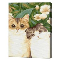 Tablou pe numere Art Gallery Econom Motani cu ochi mari 30x40cm (EX8208)