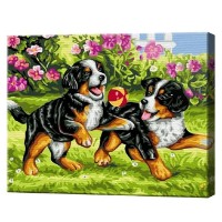 Tablou pe numere Art Gallery Econom Cățeluși veseli 30x40cm (EX5264)