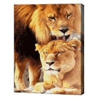 Tablou pe numere Art Gallery Econom Tandrețea leilor 40x50cm (GX23217)