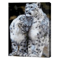 Картина по номерам Art Gallery Econom Снежные барсы 40x50cm (GX32478)