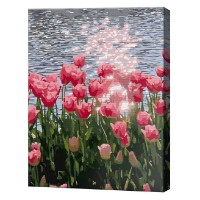 Tablou pe numere Art Gallery Econom Lalele pe malul râului 30x40cm (EX7776)