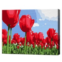 Tablou pe numere Art Gallery Premium Алые тюльпаны 20x30см (CX3845)