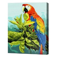 Tablou pe numere Art Gallery Premium Papagal pe crenguță 30x40cm (EX7509)