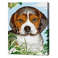 Картина по номерам Art Gallery Premium Грустный щенок 20x30см (CX3728)