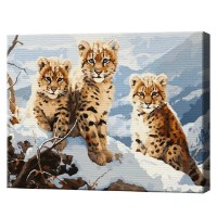 Tablou pe numere Art Gallery Premium Motănași sălbatici în zăpadă 40x50cm (GX46269)