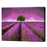 Tablou pe numere Art Gallery Premium Câmp de lavandă 30x40cm (EX8310)