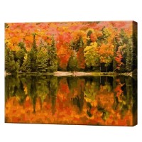 Tablou pe numere Art Gallery Premium Pădurea în nuanțe roșcate 40x50cm (GX44097)