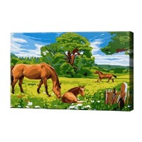 Tablou pe numere Art Gallery Premium Cai pe câmp 20x30cm (CX3619)