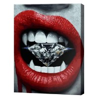 Tablou pe numere Art Gallery Premium Diamant periculos 40x50cm (GX46755)
