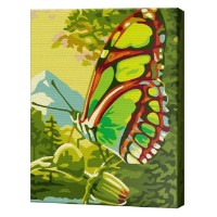 Tablou pe numere Art Gallery Premium Fluture minunat 20x30cm (CX3549)