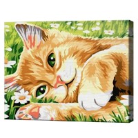 Tablou pe numere Art Gallery Premium Motan roșcat în romanițe 20x30cm (CX3798)