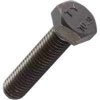 Bulon Reyher 097A10040