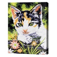 Картина по номерам Art Gallery Premium Трехцветный котенок 20x30см (CX3534)