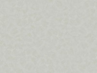 Обои Parato Estetica 4351